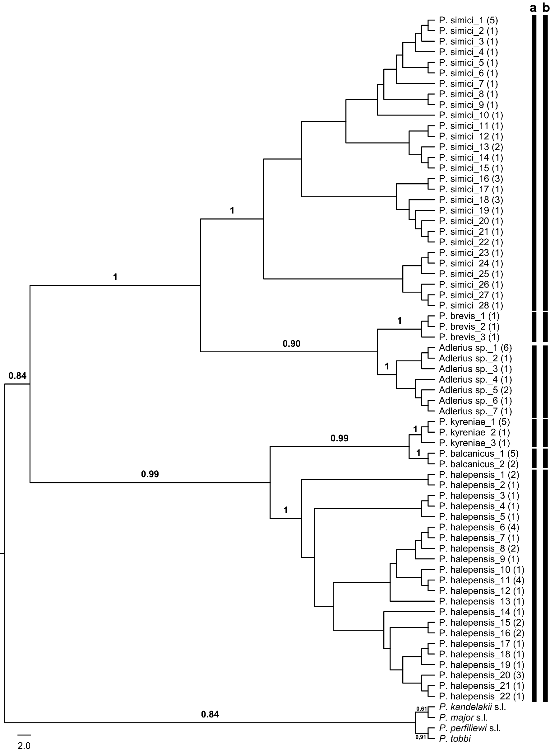 Fig. 5