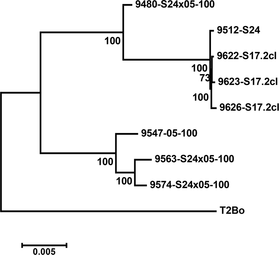 Fig. 4