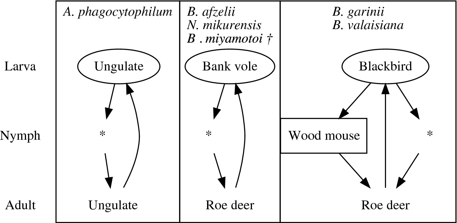 Fig. 5