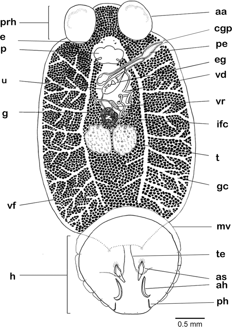 Fig. 6