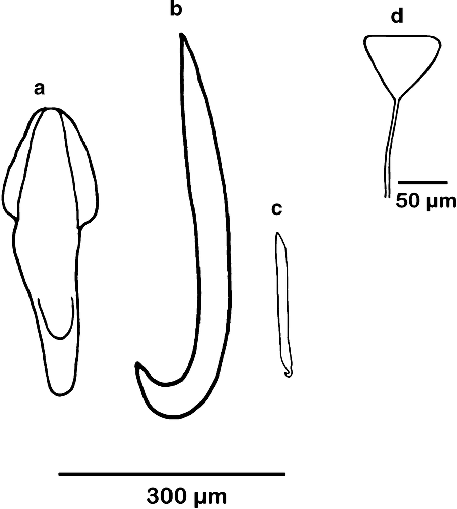 Fig. 7