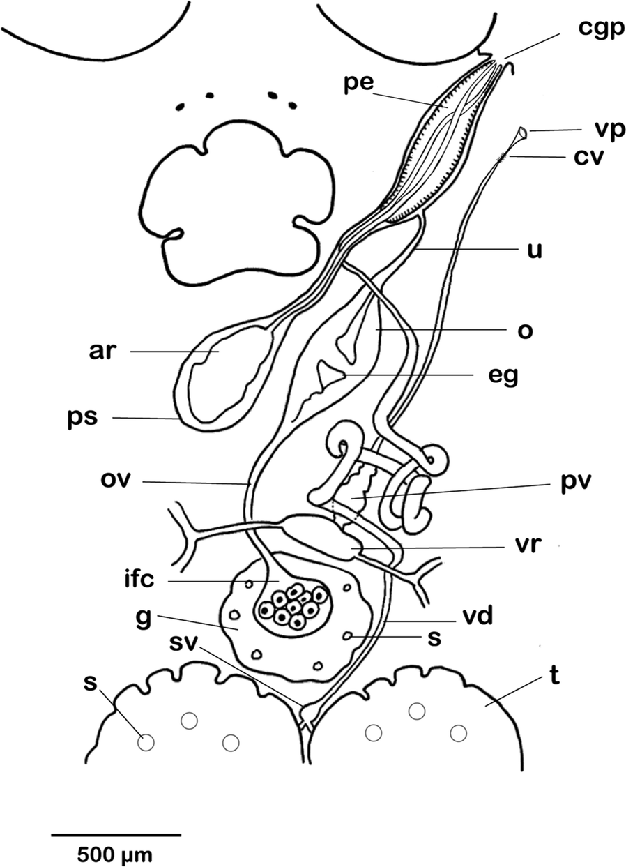 Fig. 8