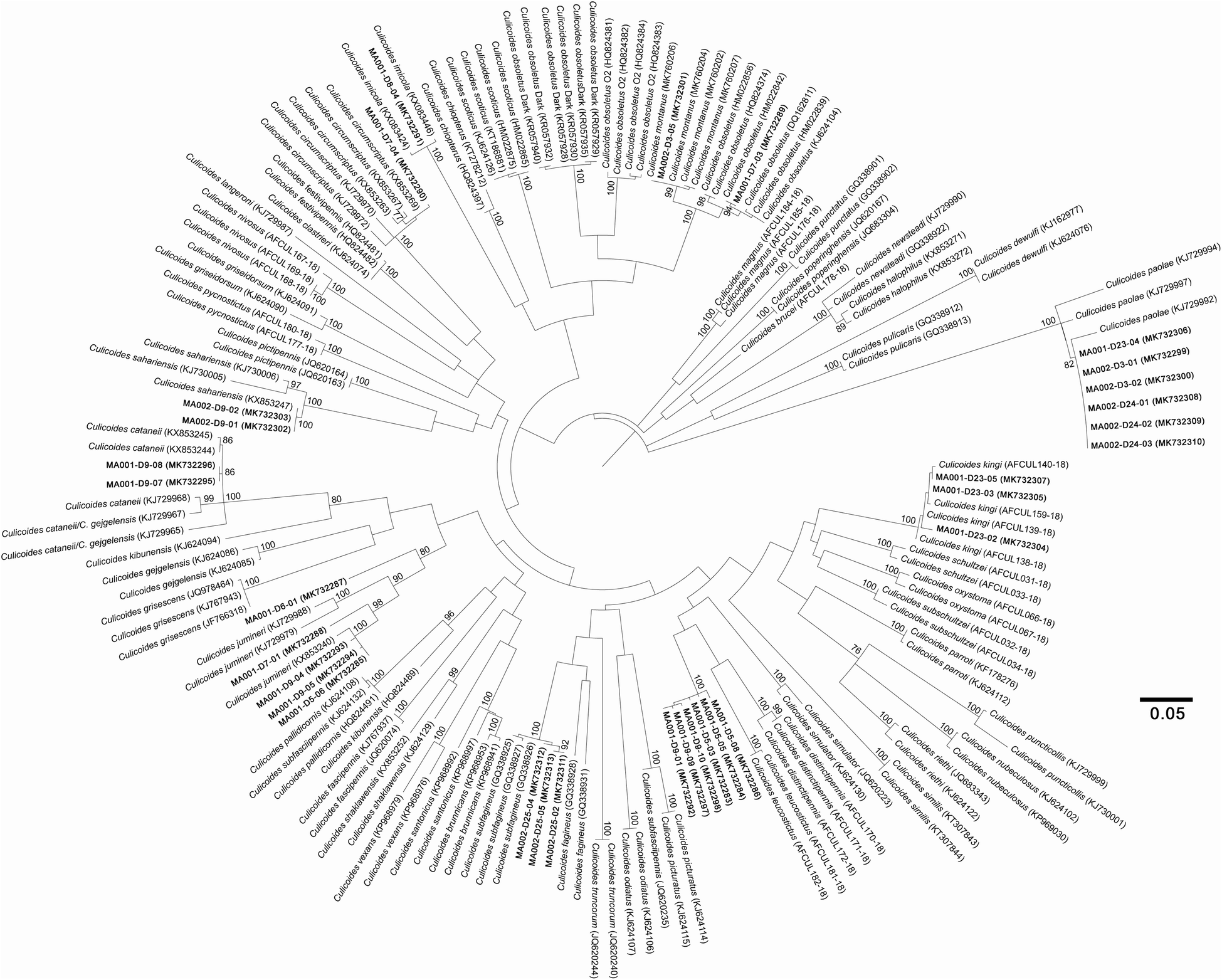 Fig. 3