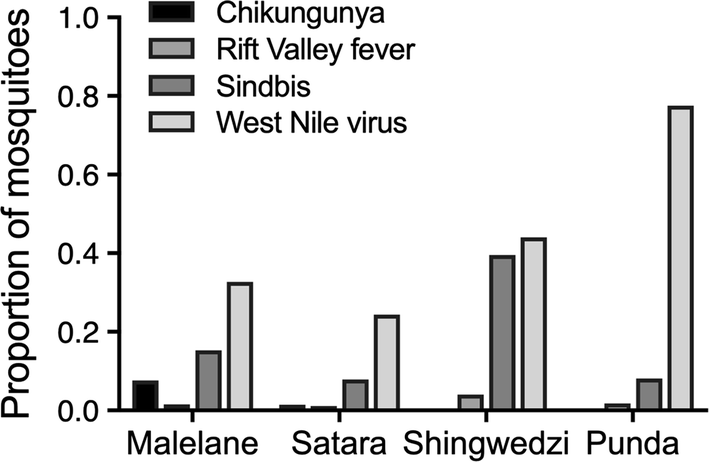 Fig. 6