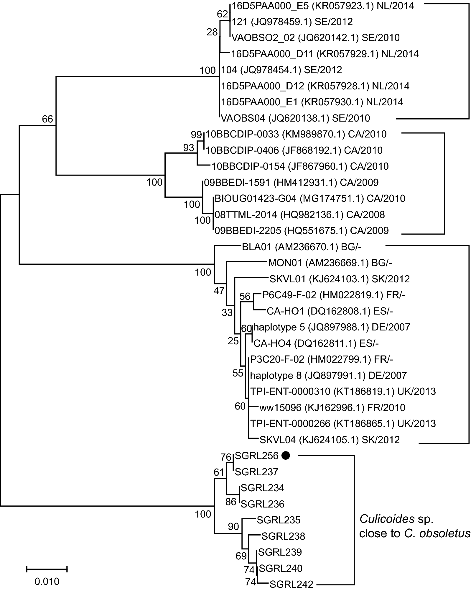 Fig. 4