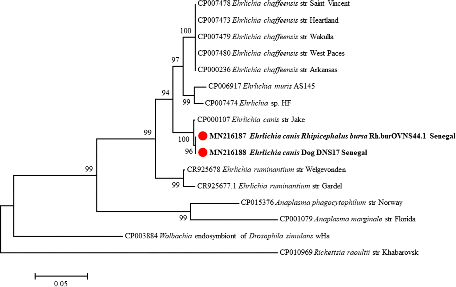 Fig. 4