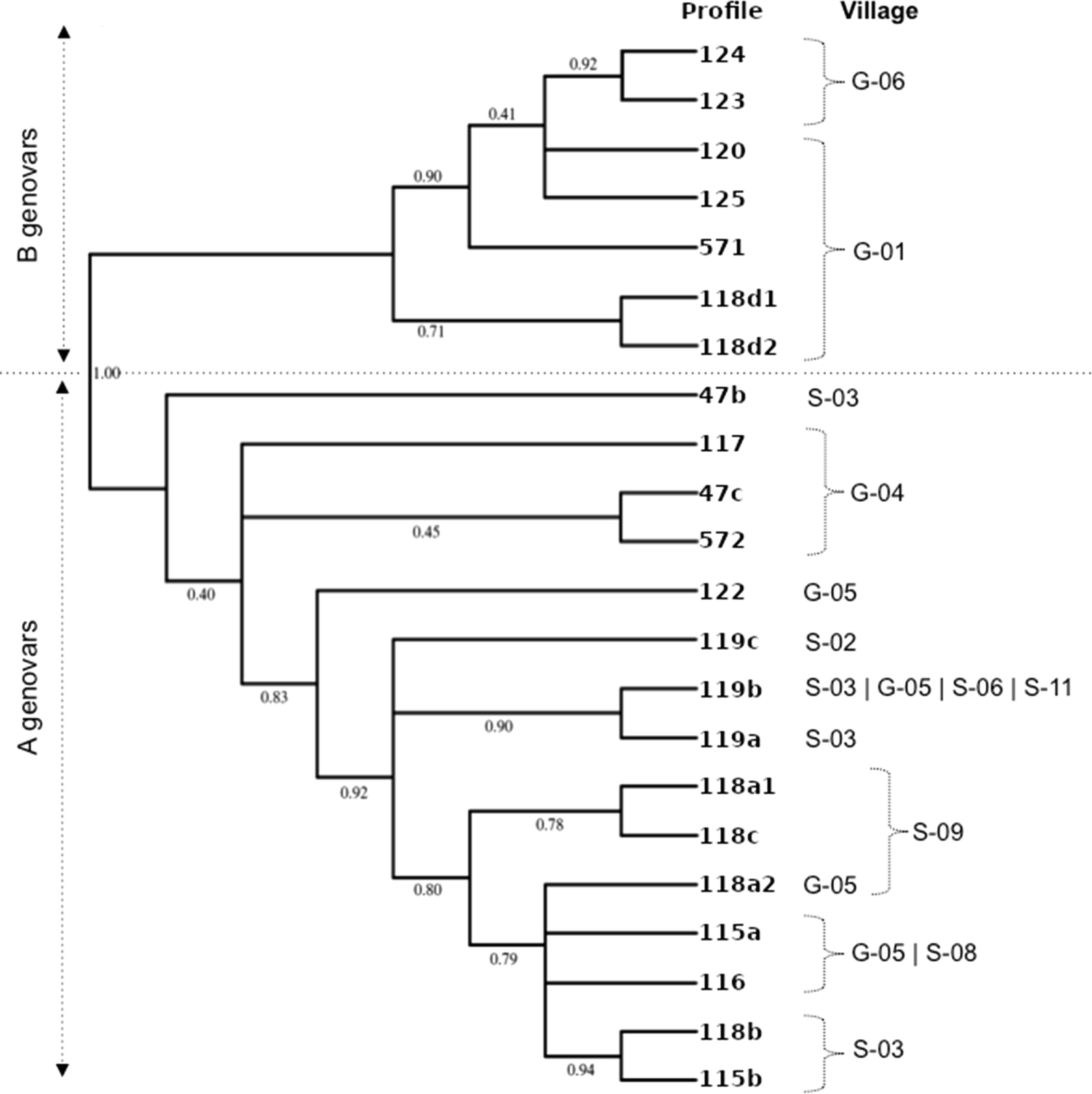 Fig. 4