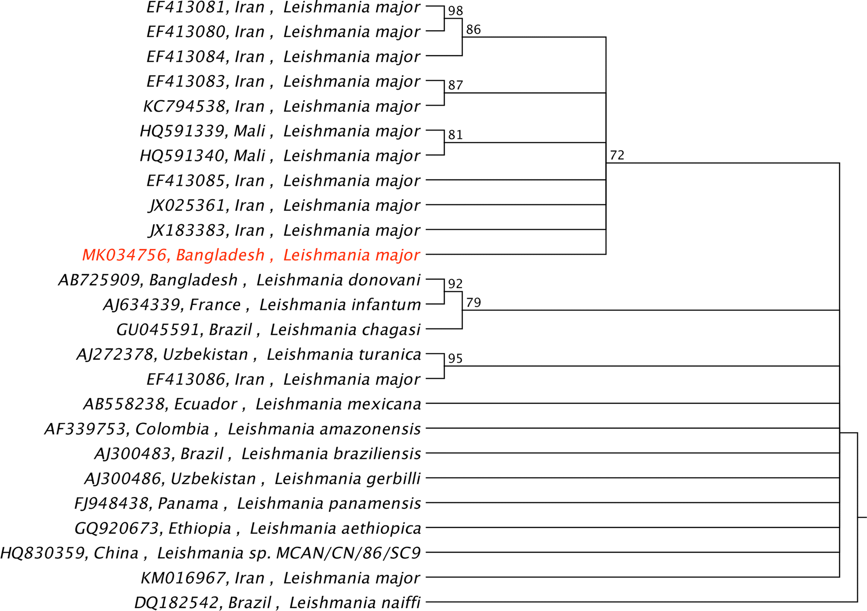 Fig. 2