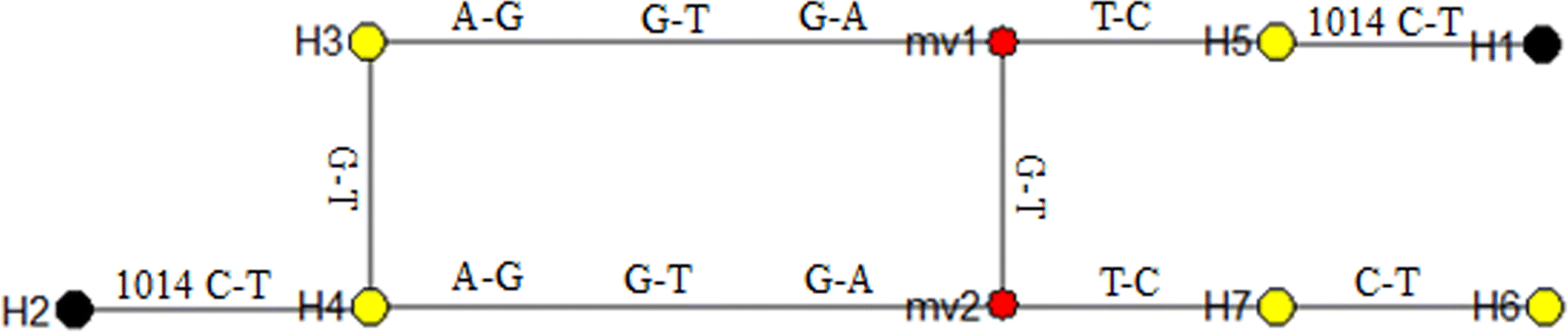 Fig. 5