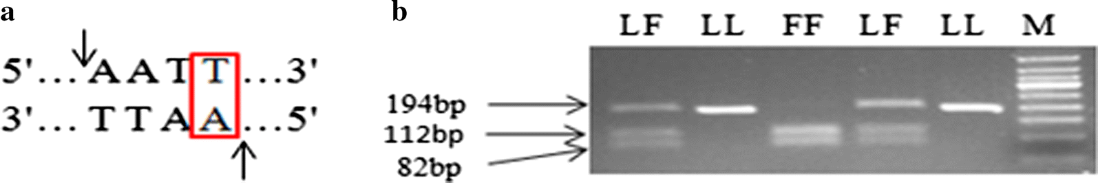 Fig. 6