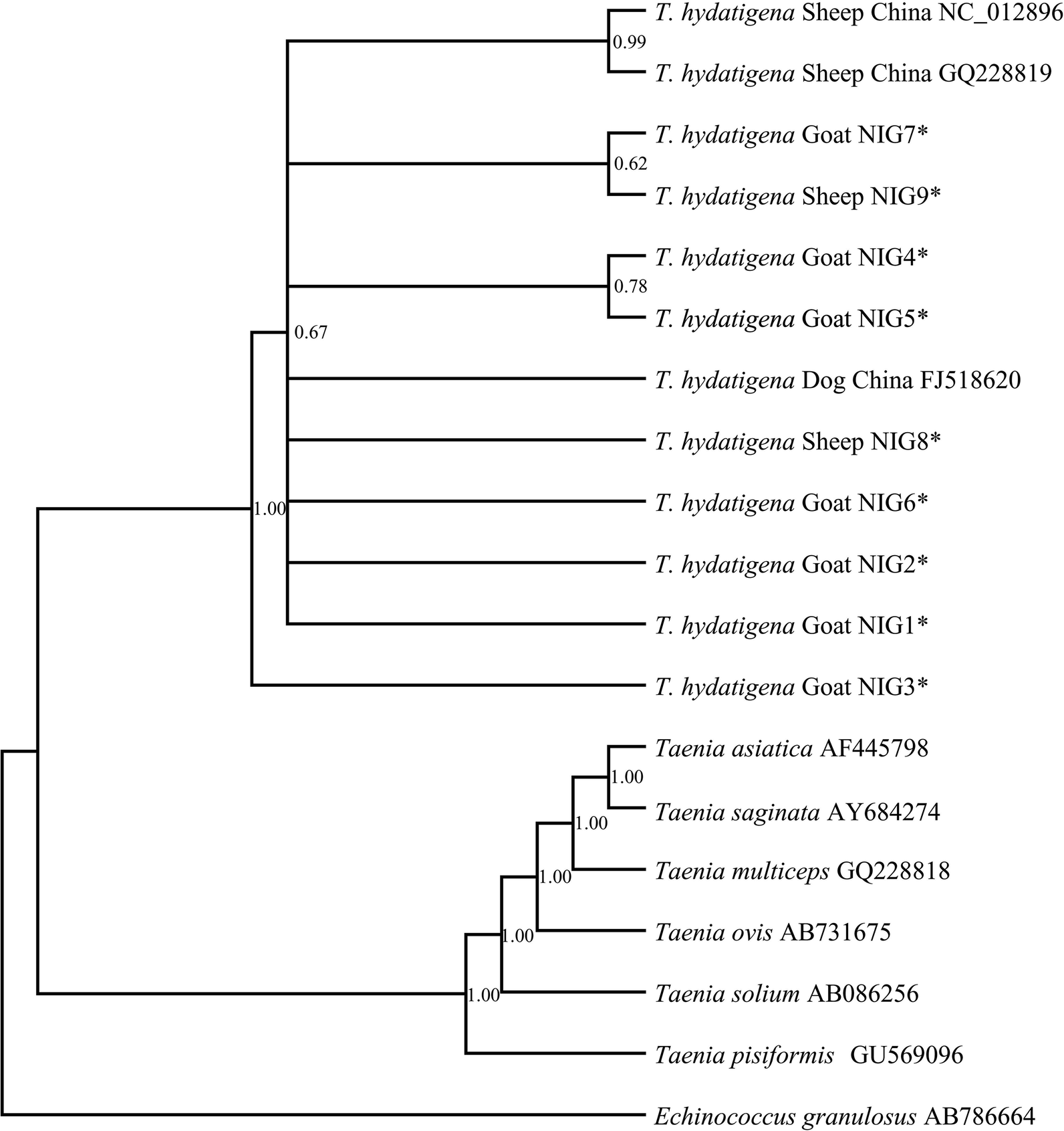 Fig. 2