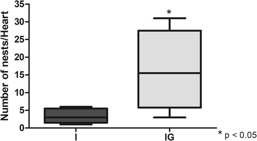 Fig. 10