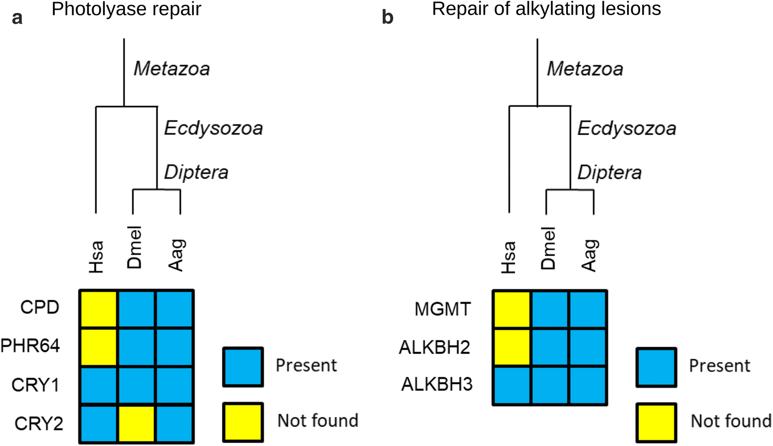 Fig. 10