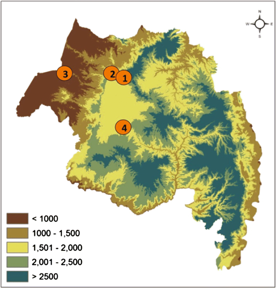 Fig. 1