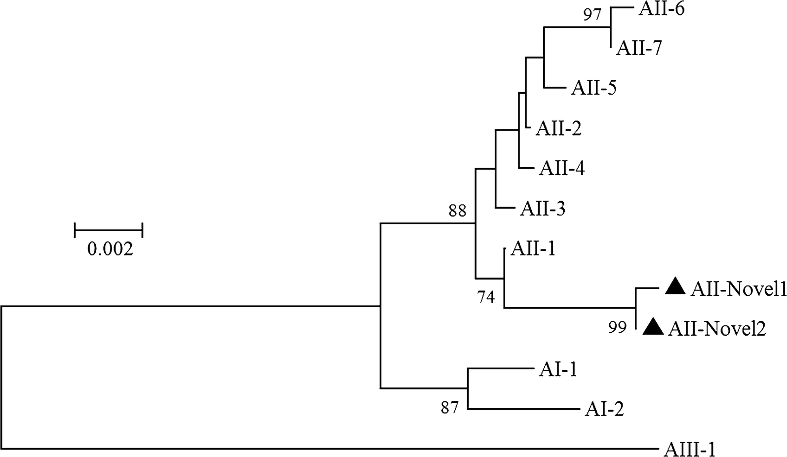 Fig. 1