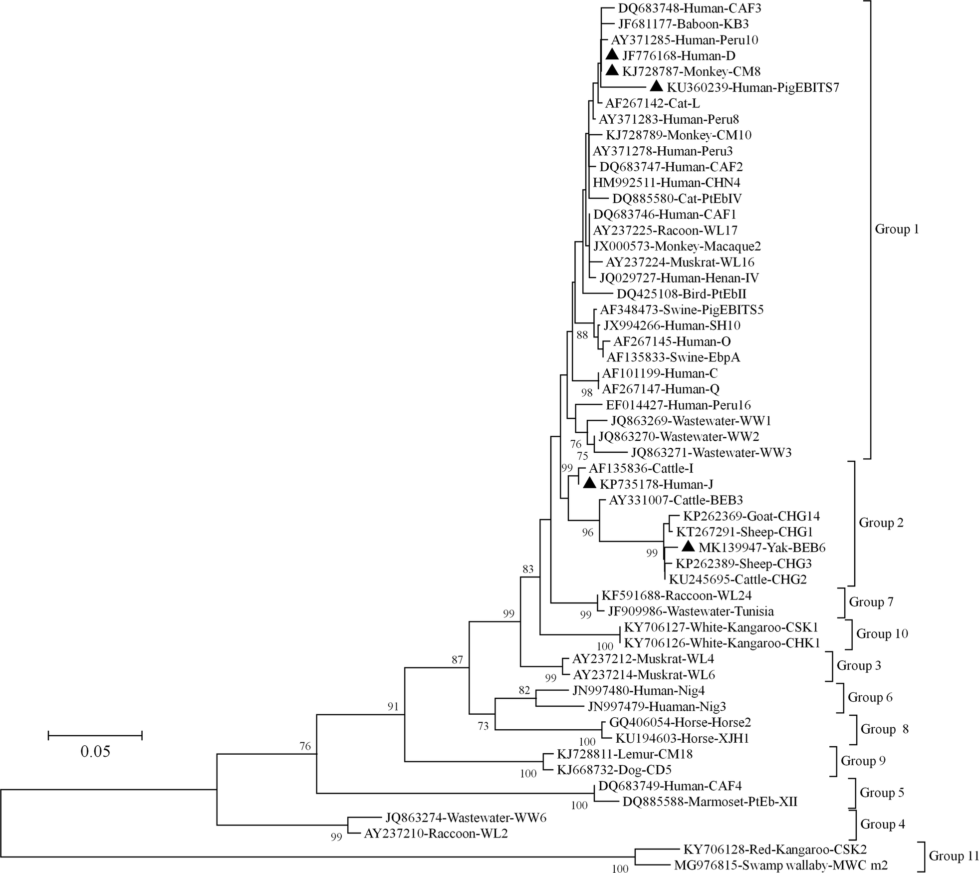 Fig. 3