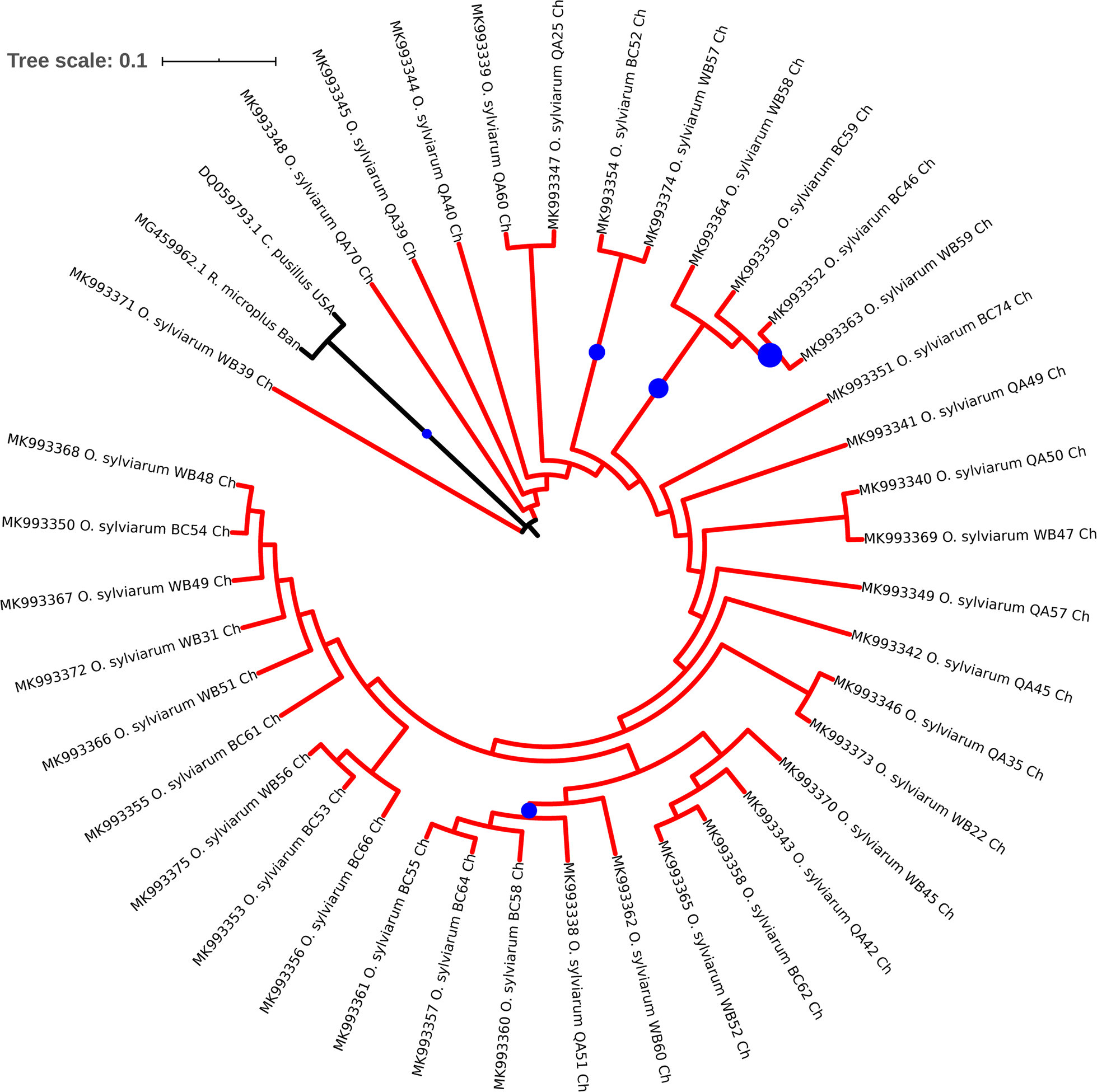 Fig. 6