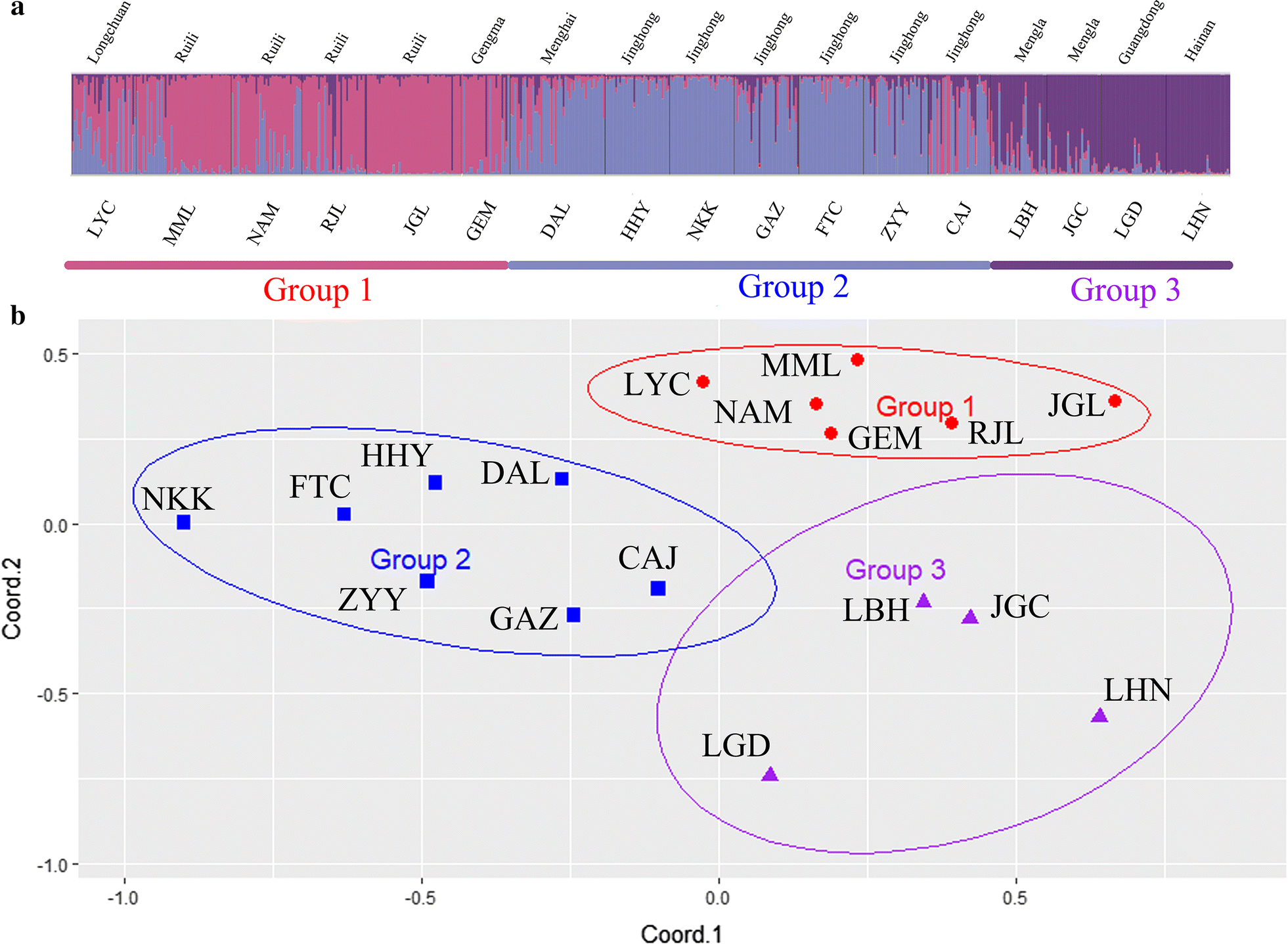 Fig. 2