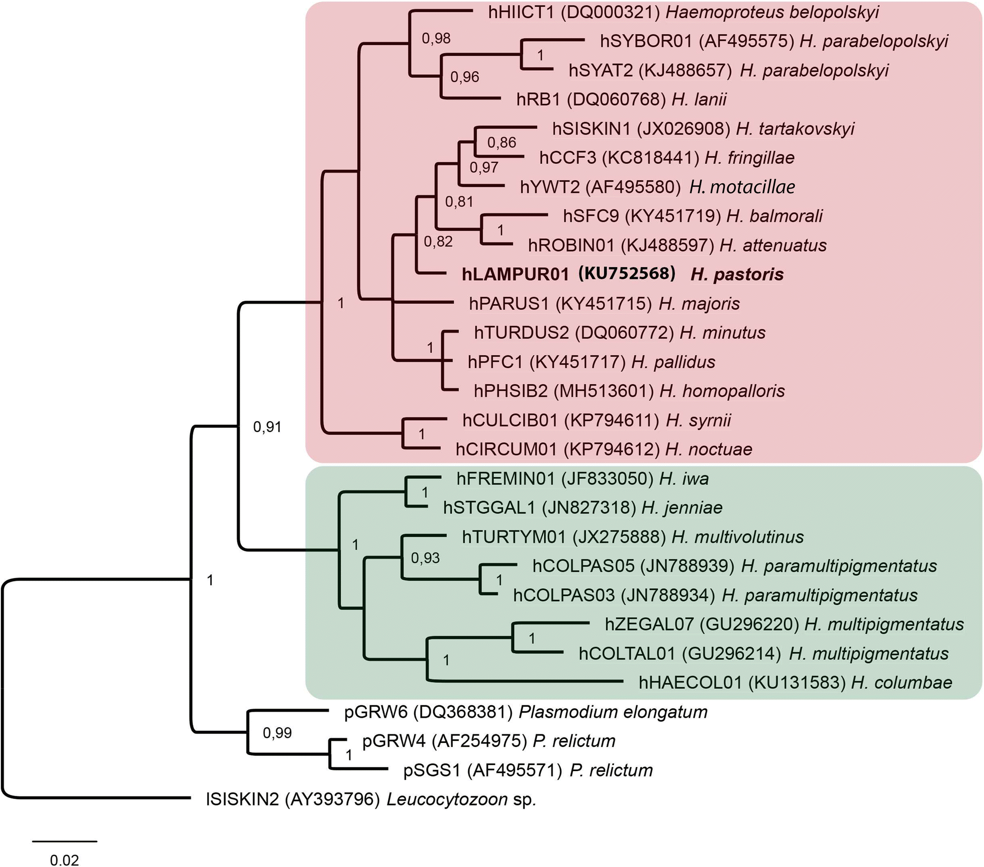 Fig. 4