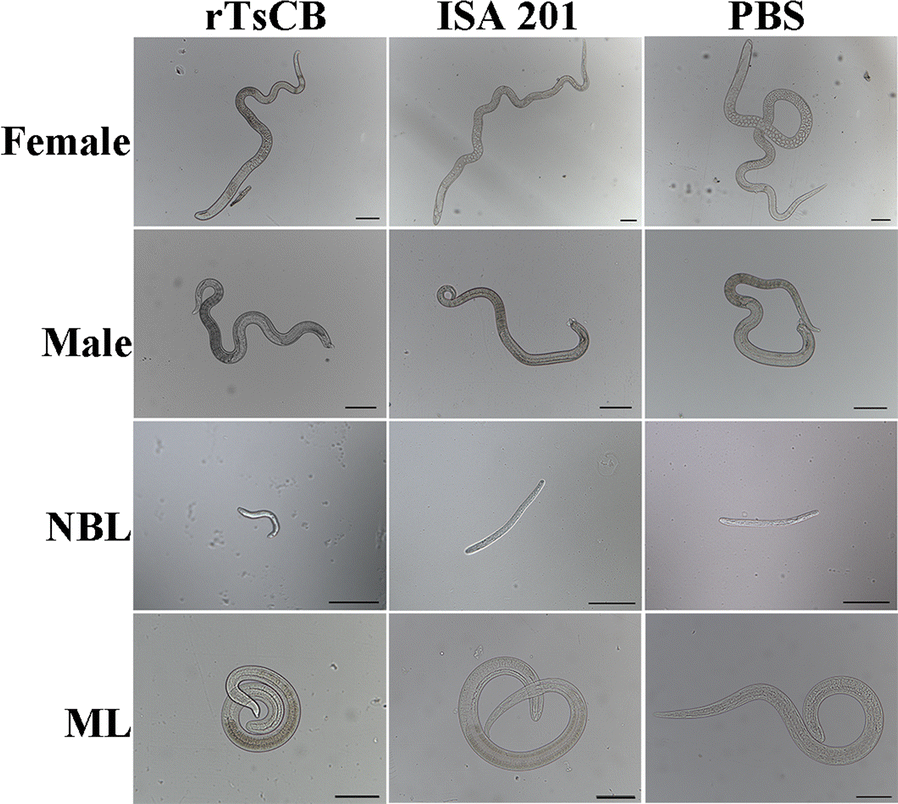 Fig. 9