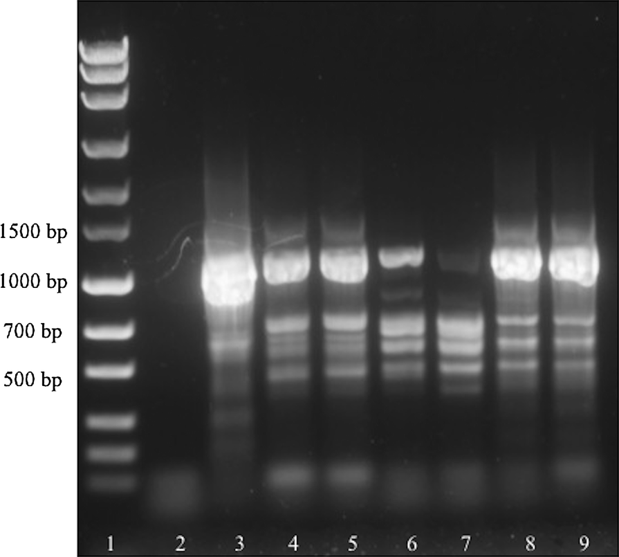 Fig. 4