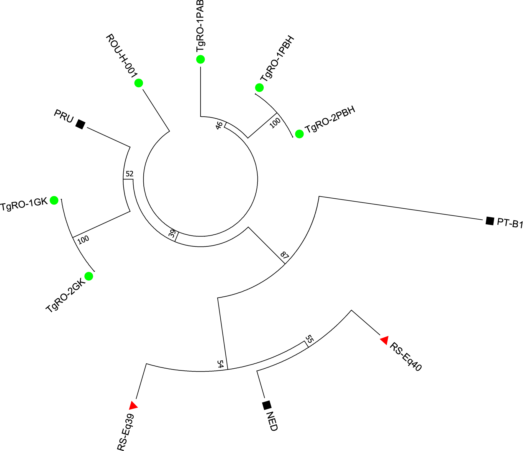 Fig. 2