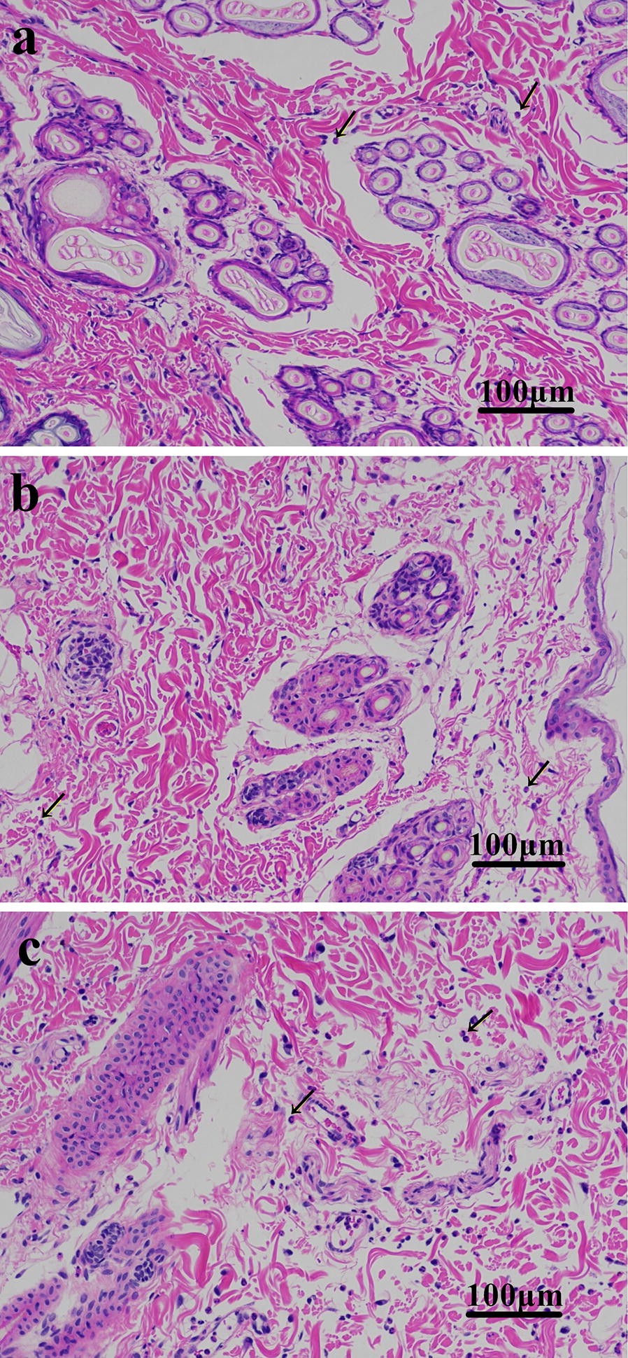 Fig. 2