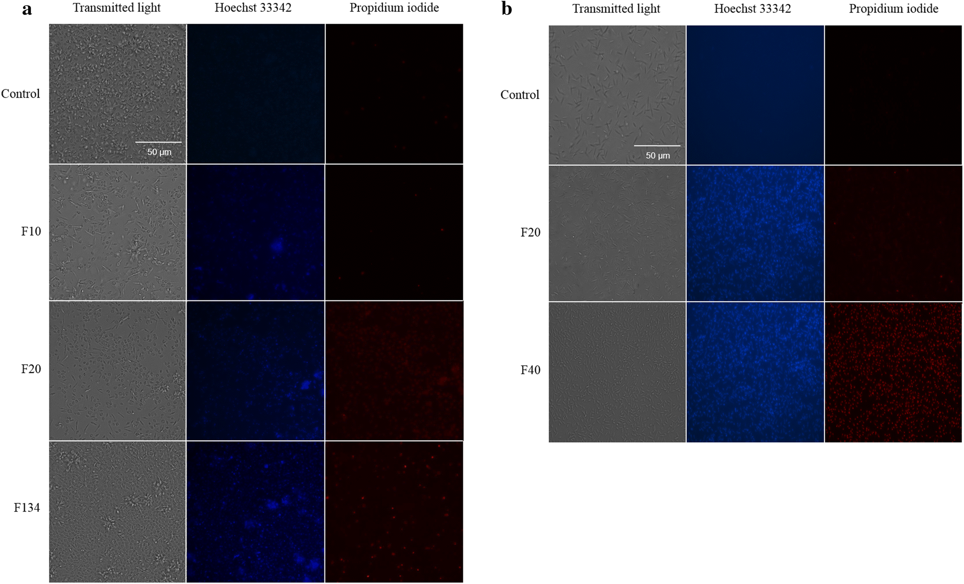 Fig. 6