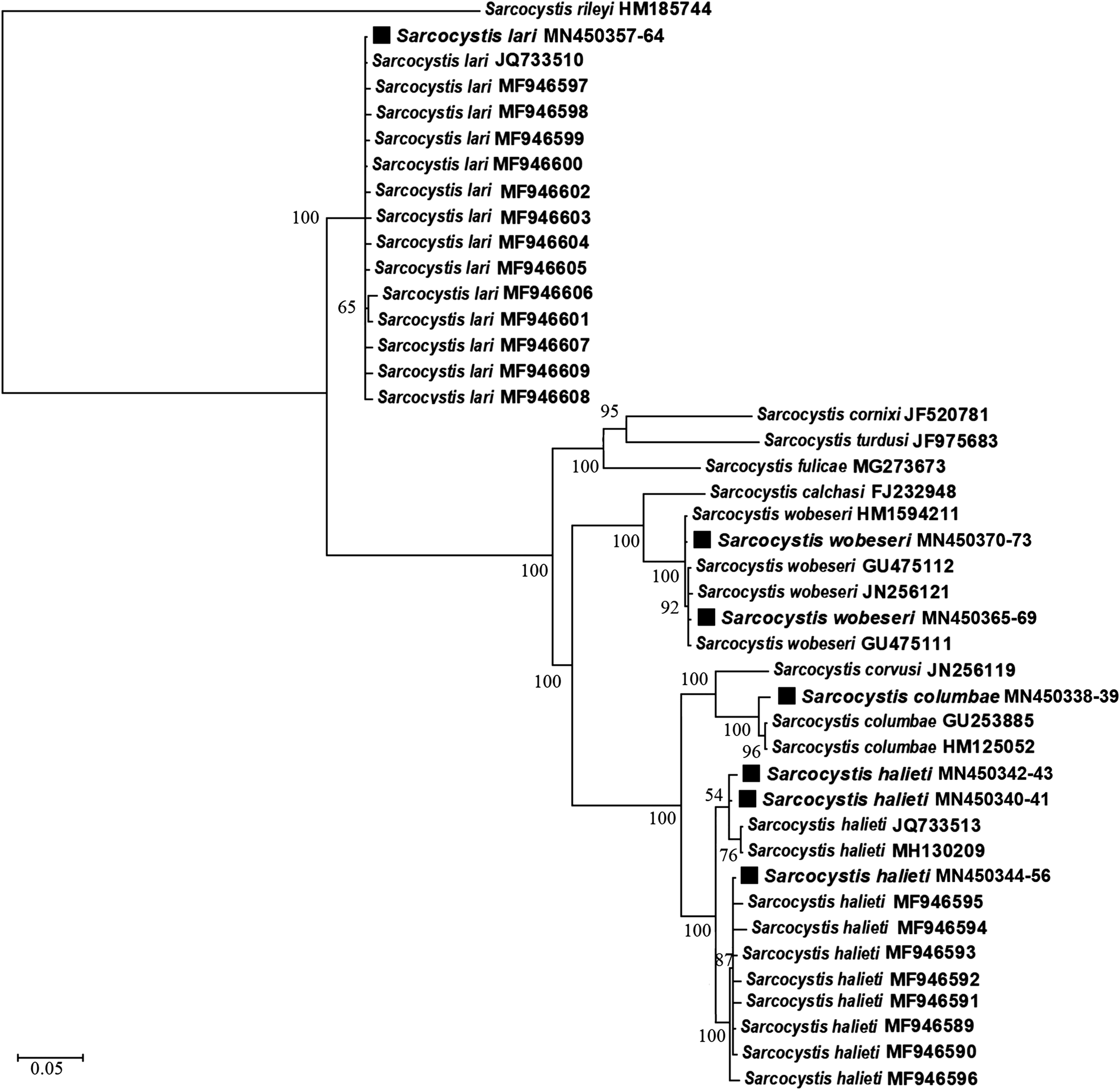 Fig. 1