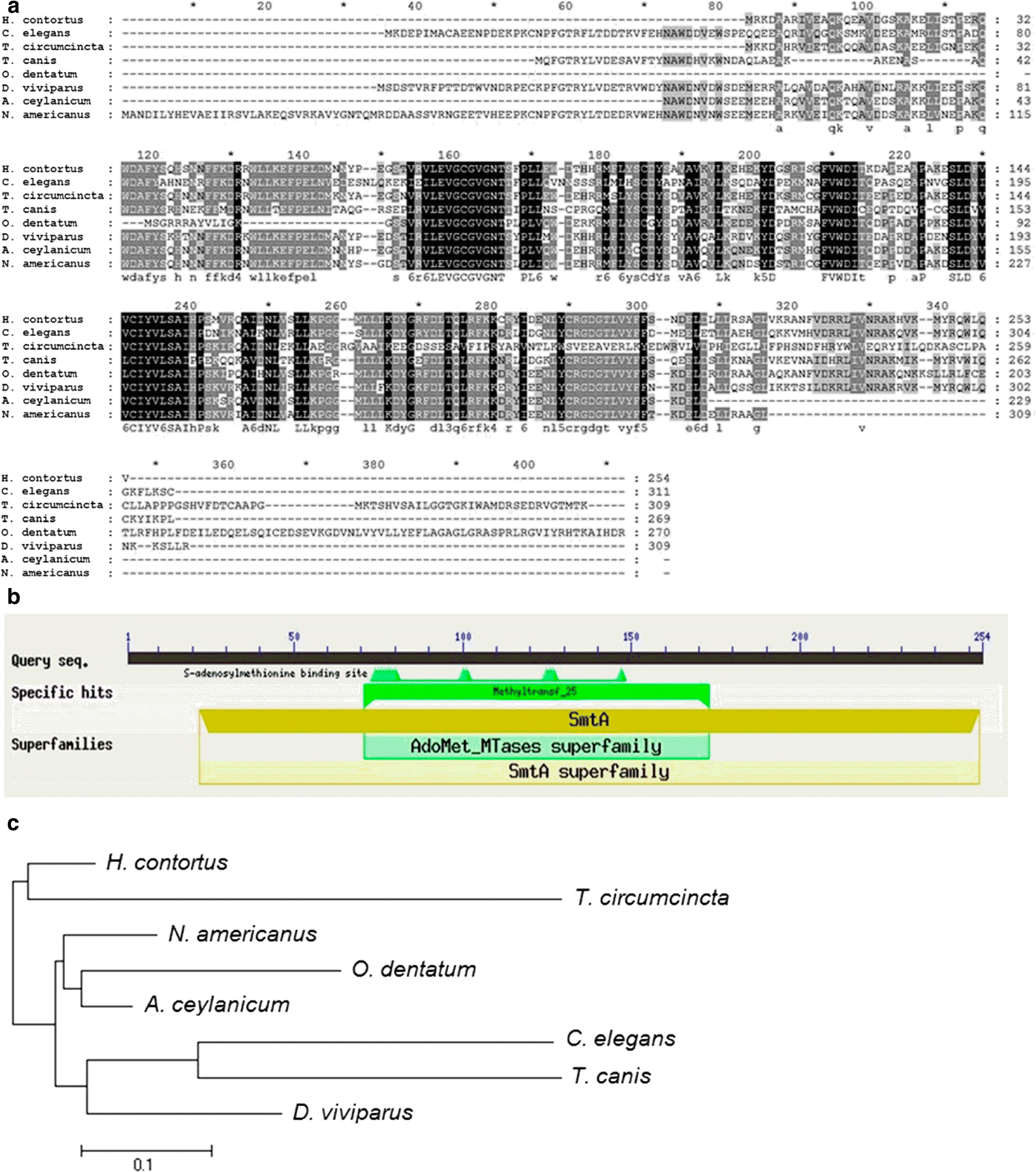 Fig. 2