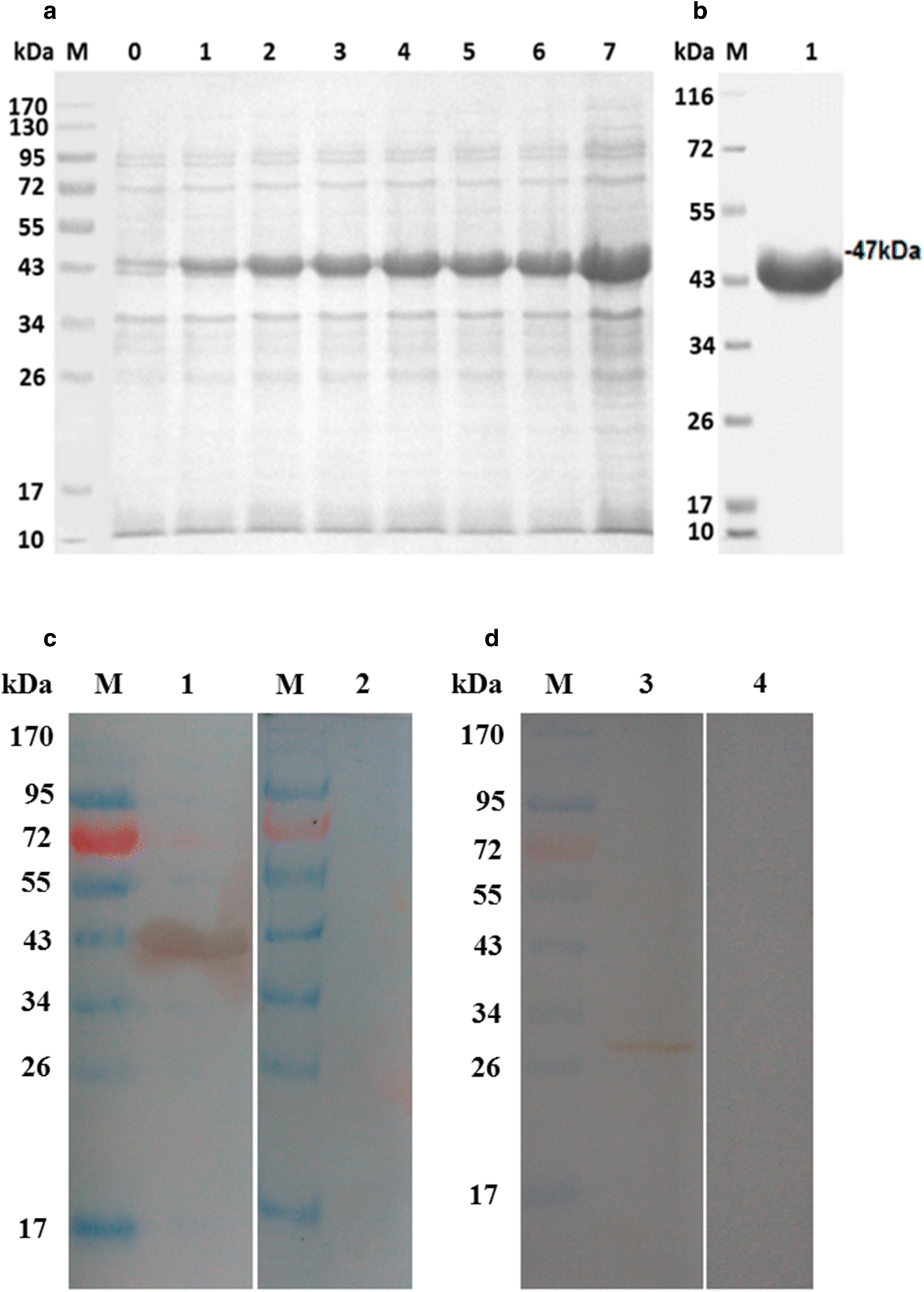 Fig. 3