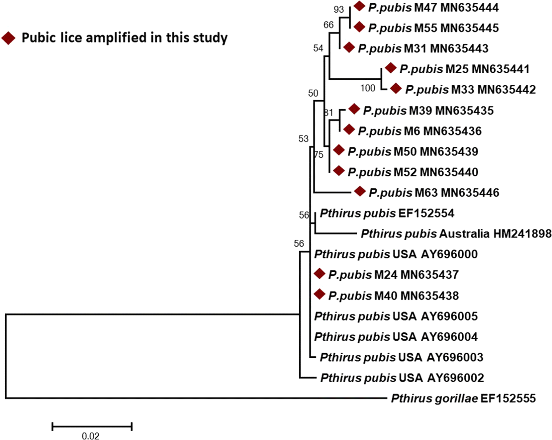 Fig. 3