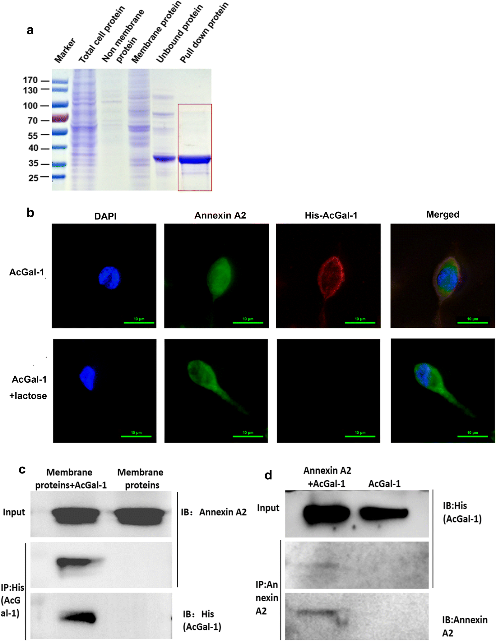 Fig. 3