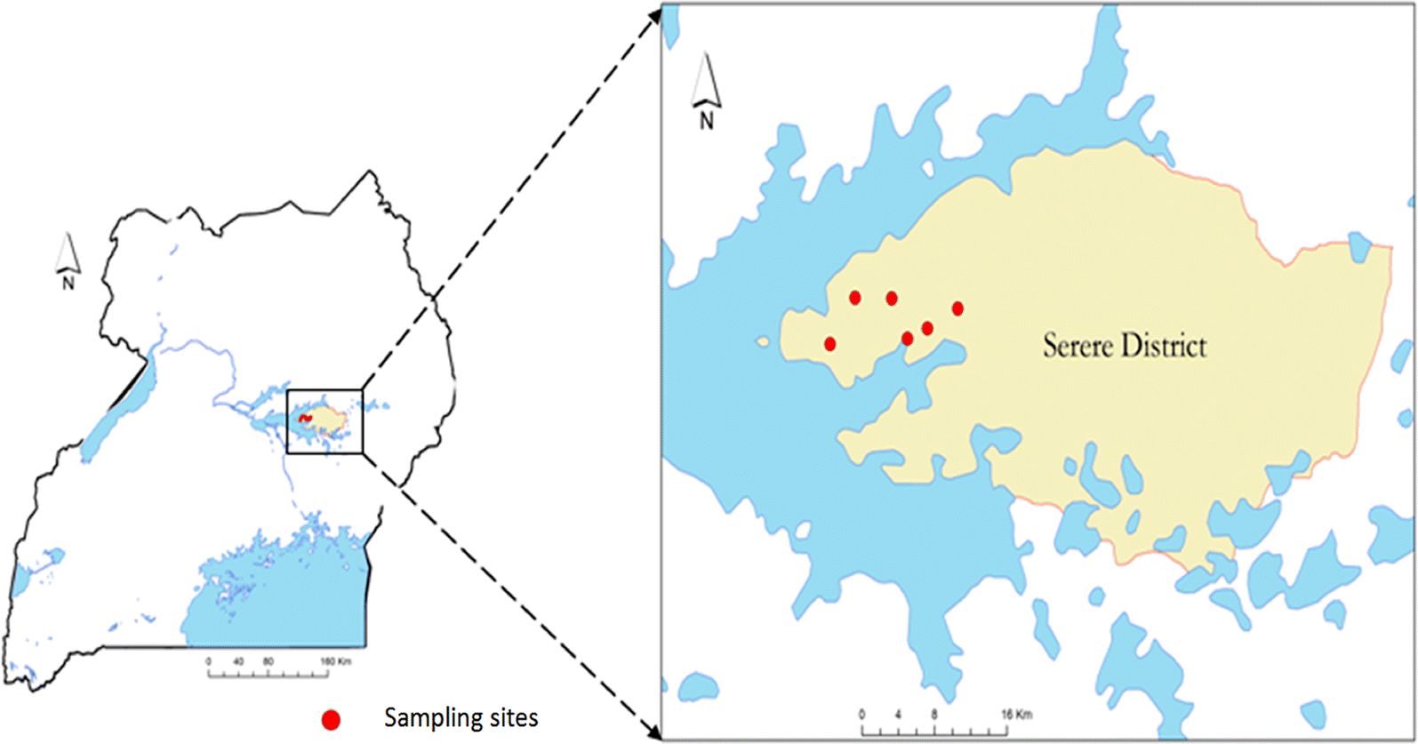 Fig. 1