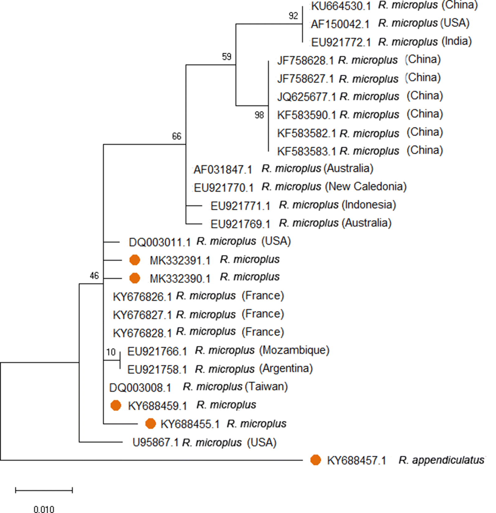 Fig. 3