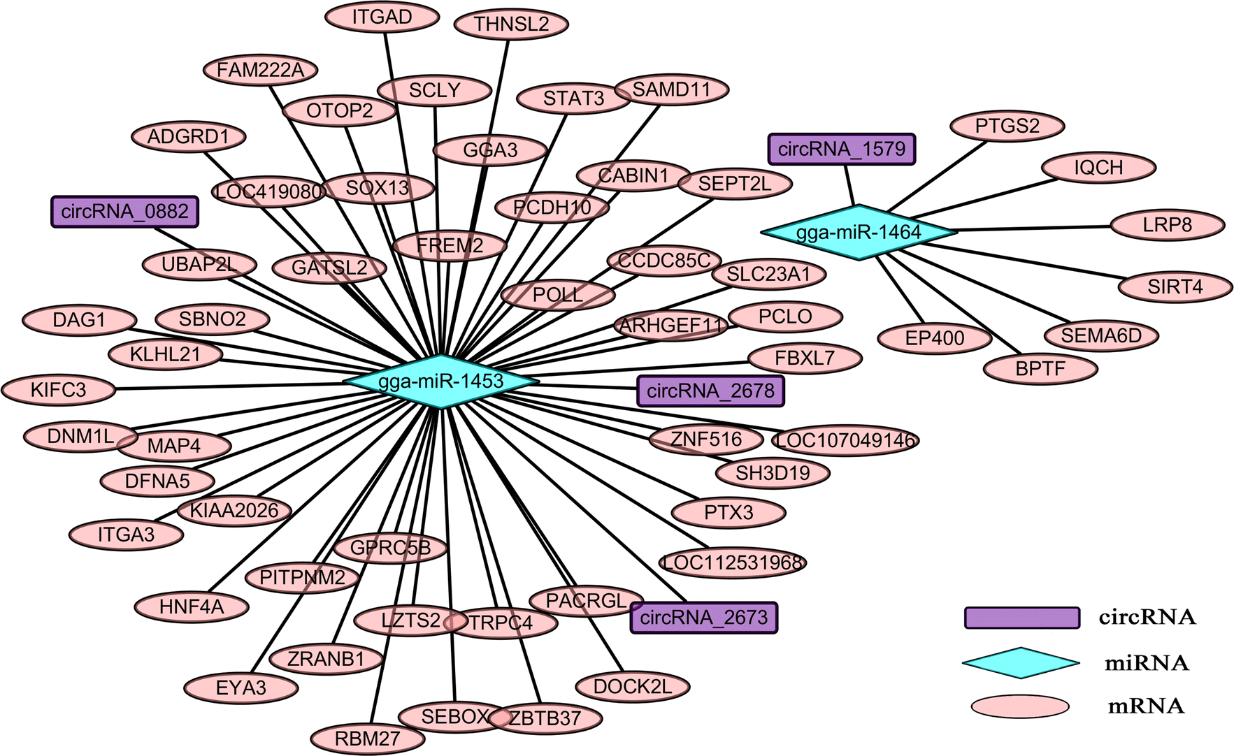 Fig. 6