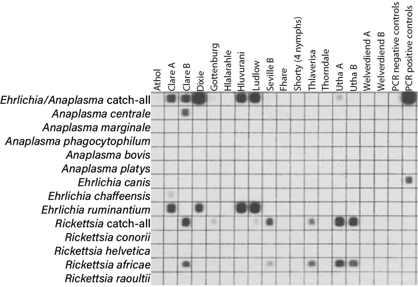 Fig. 4