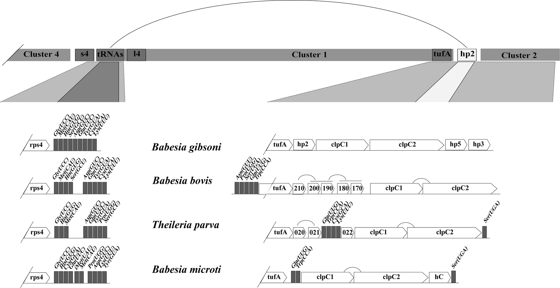 Fig. 4