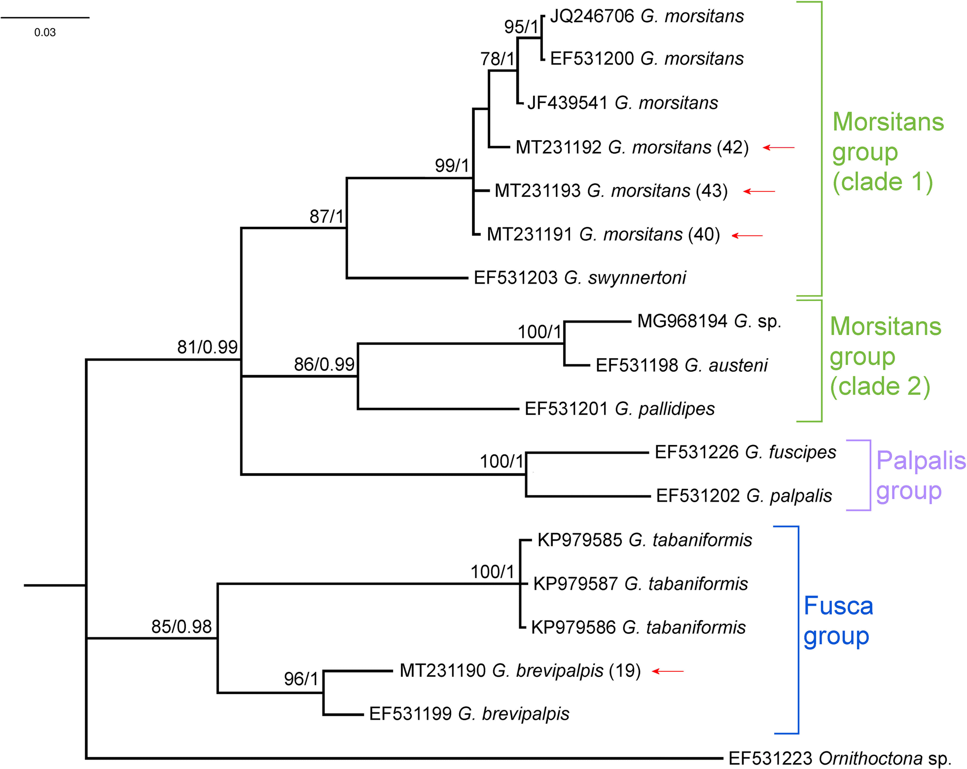 Fig. 3