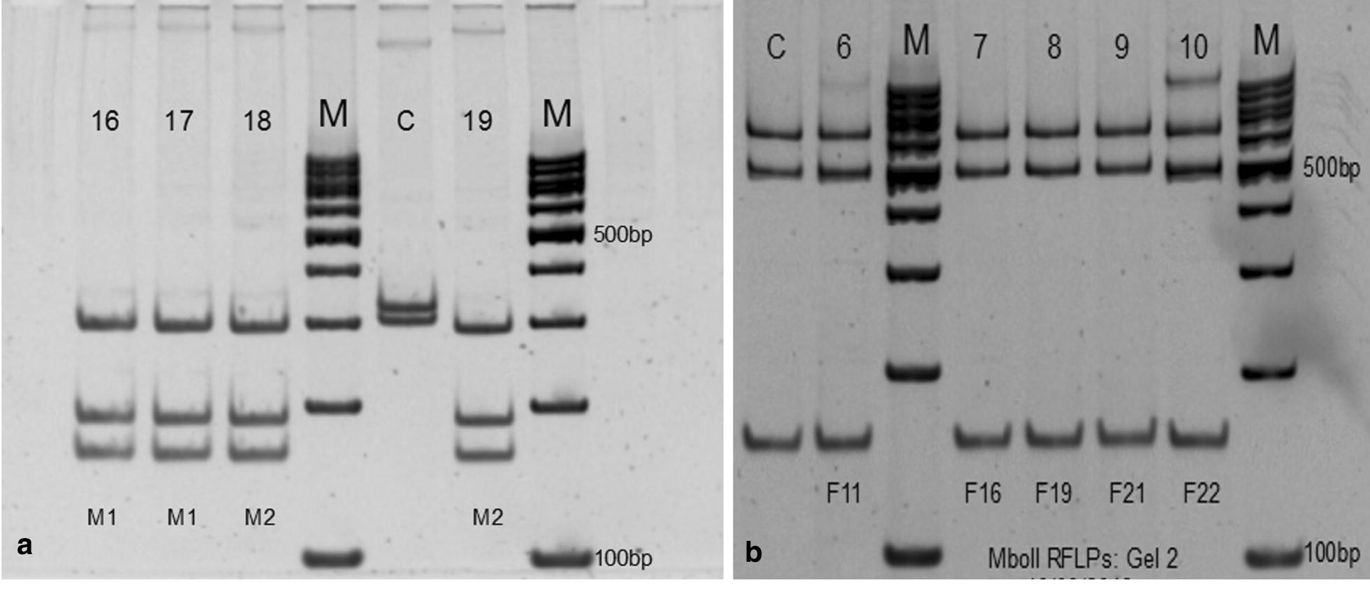 Fig. 8