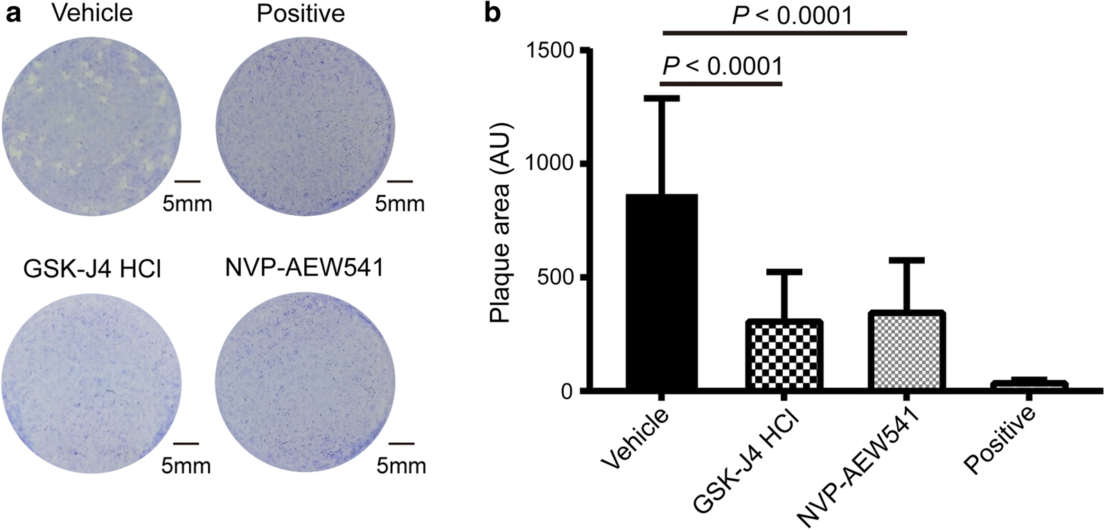 Fig. 3