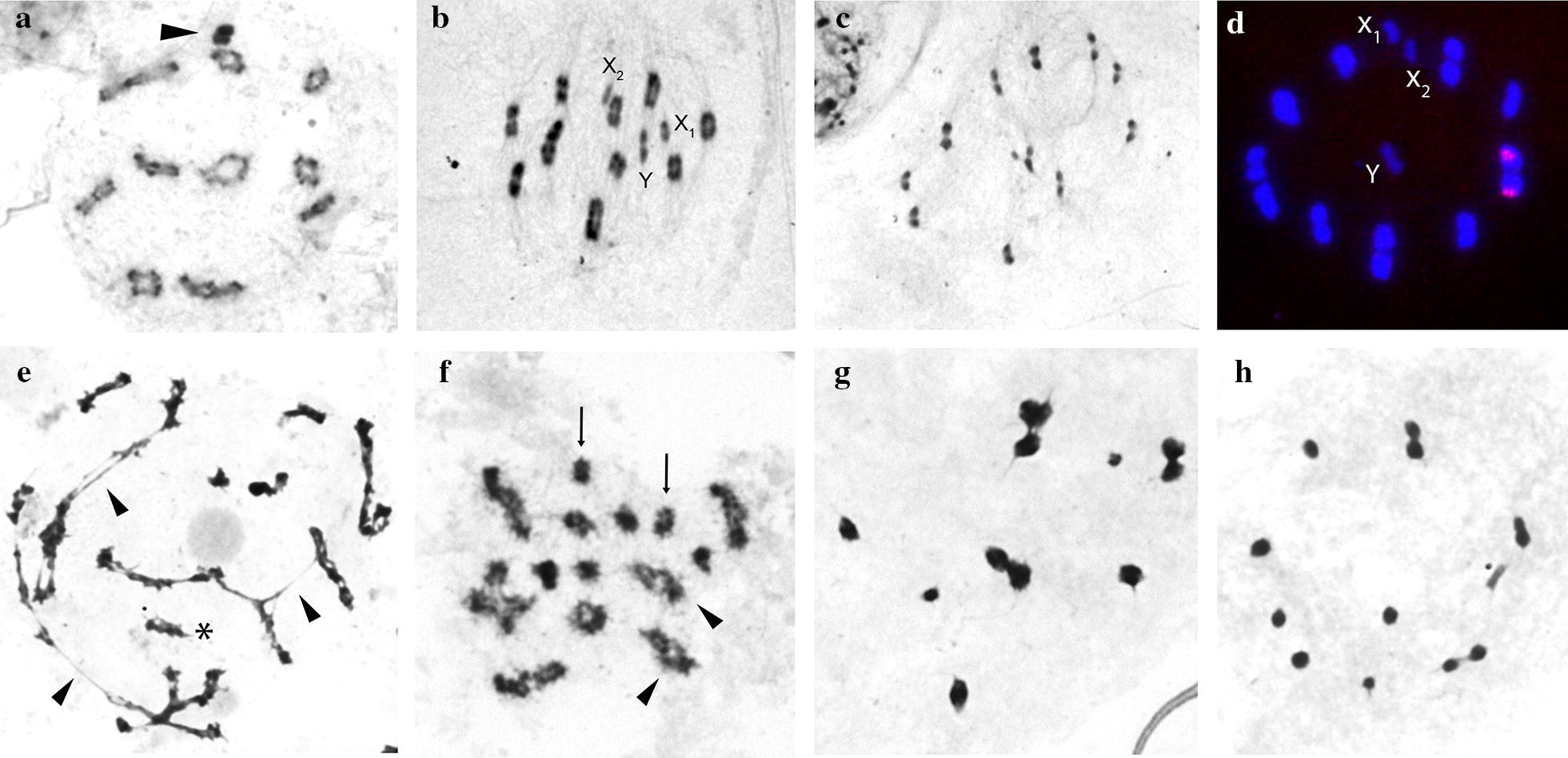 Fig. 7