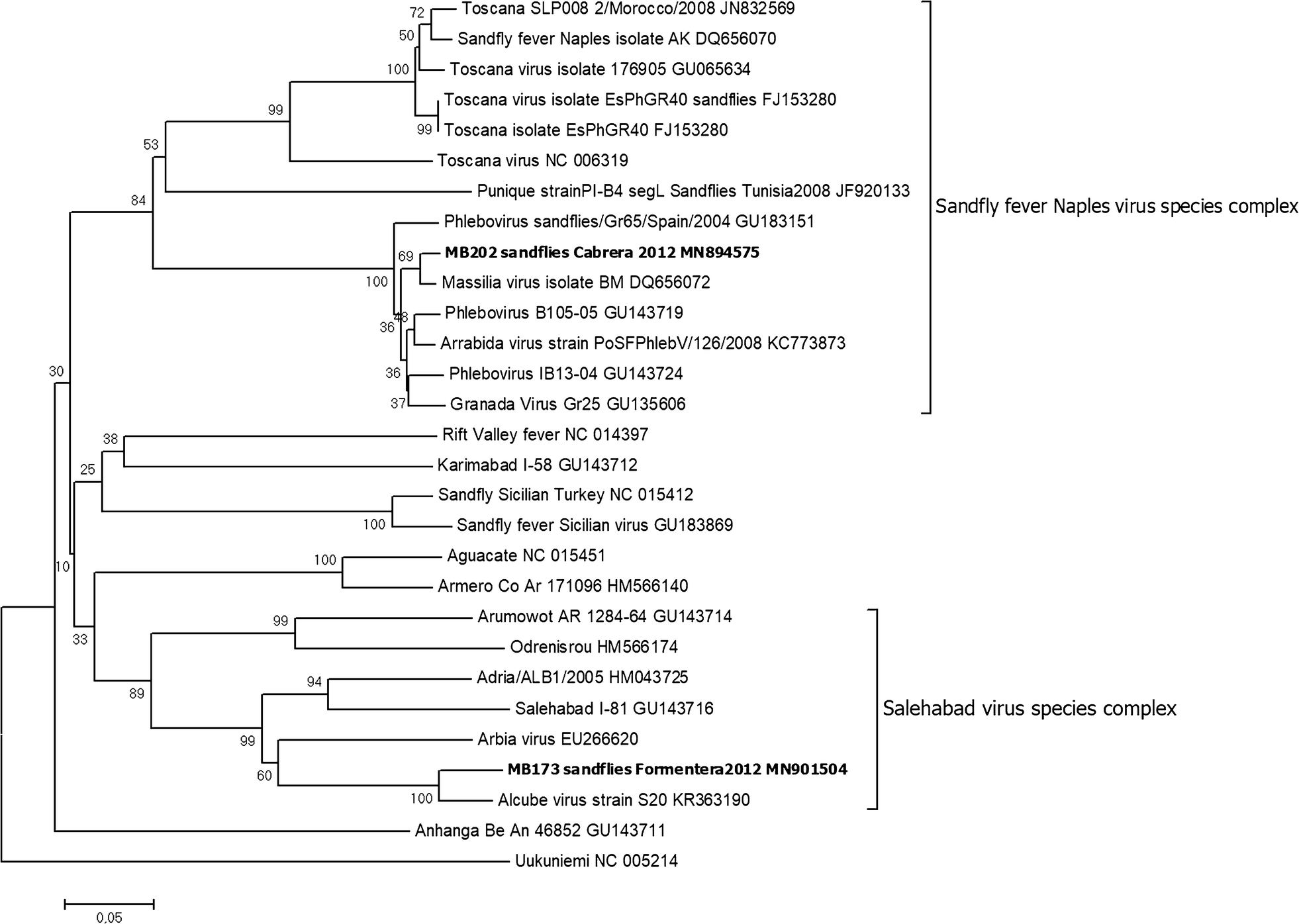 Fig. 1