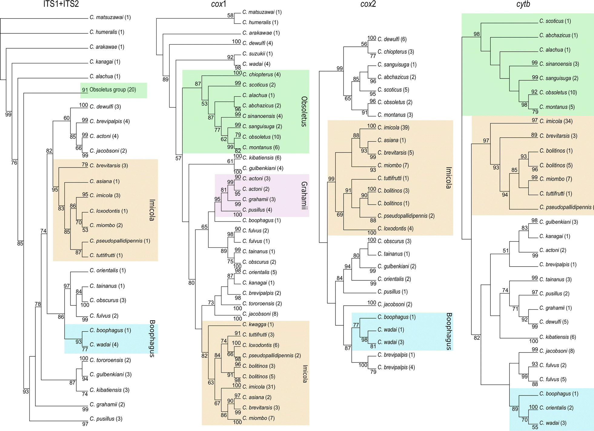 Fig. 2