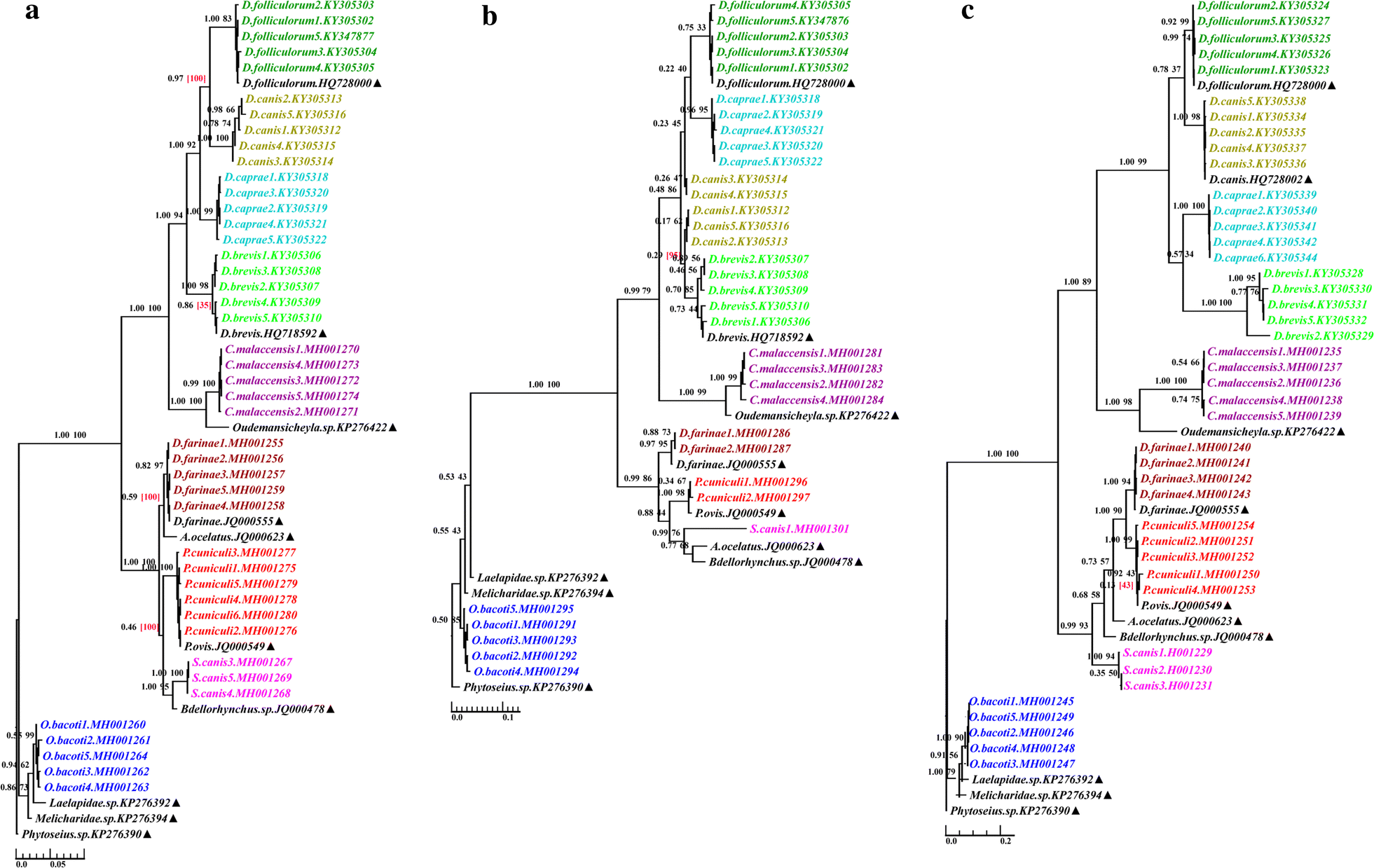 Fig. 2