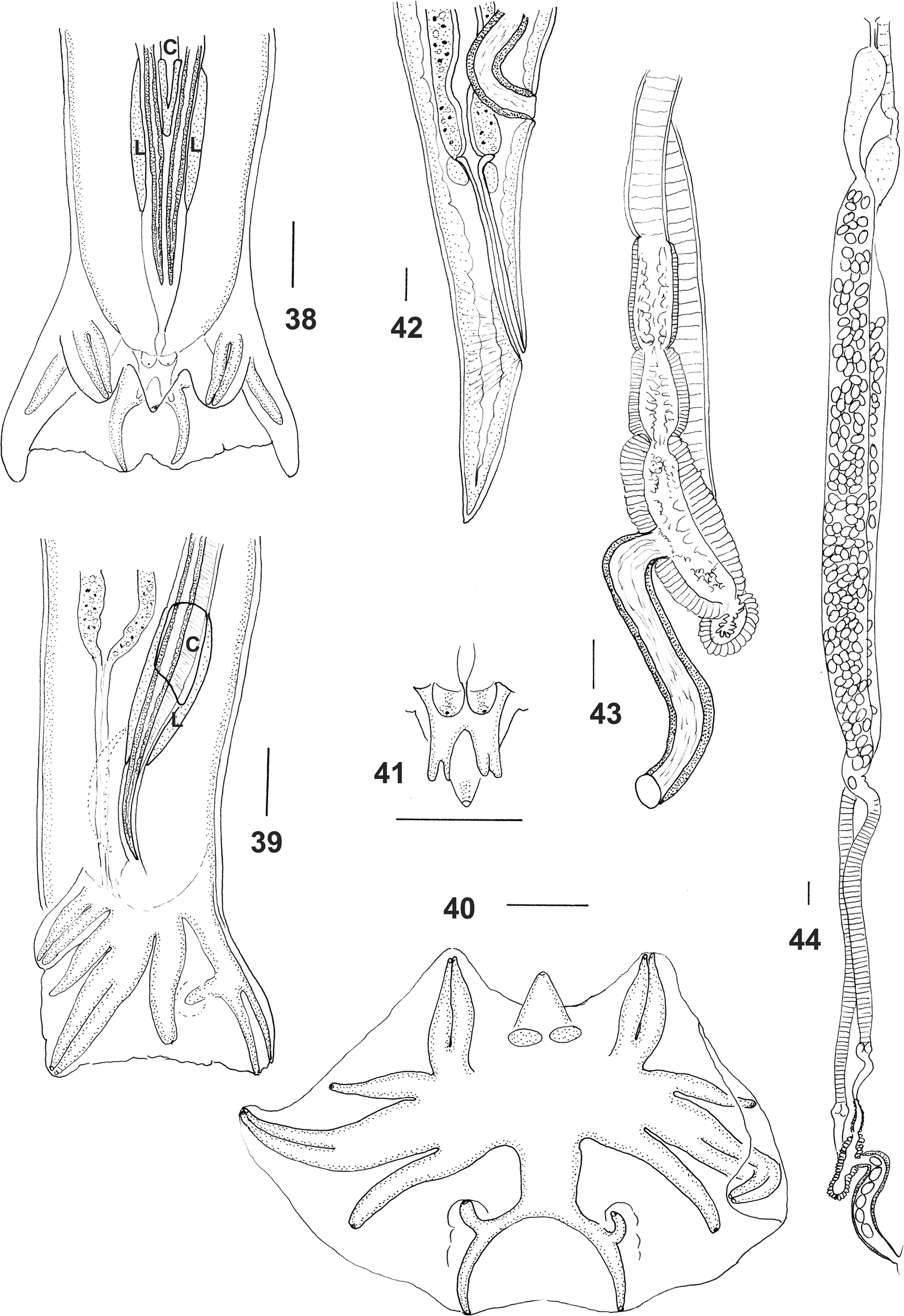 Figs. 38–44