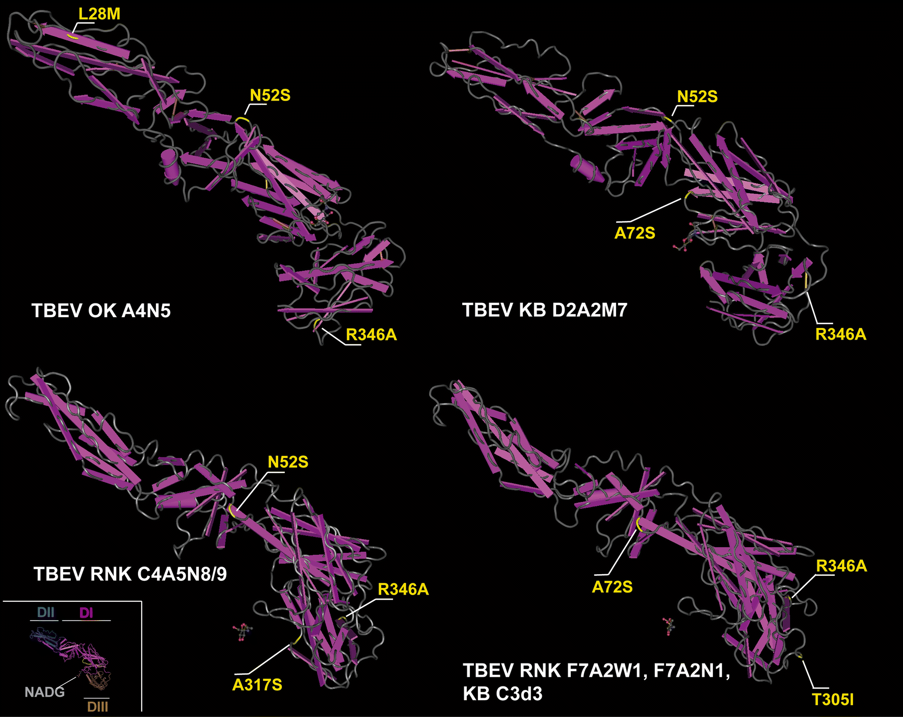 Fig. 4