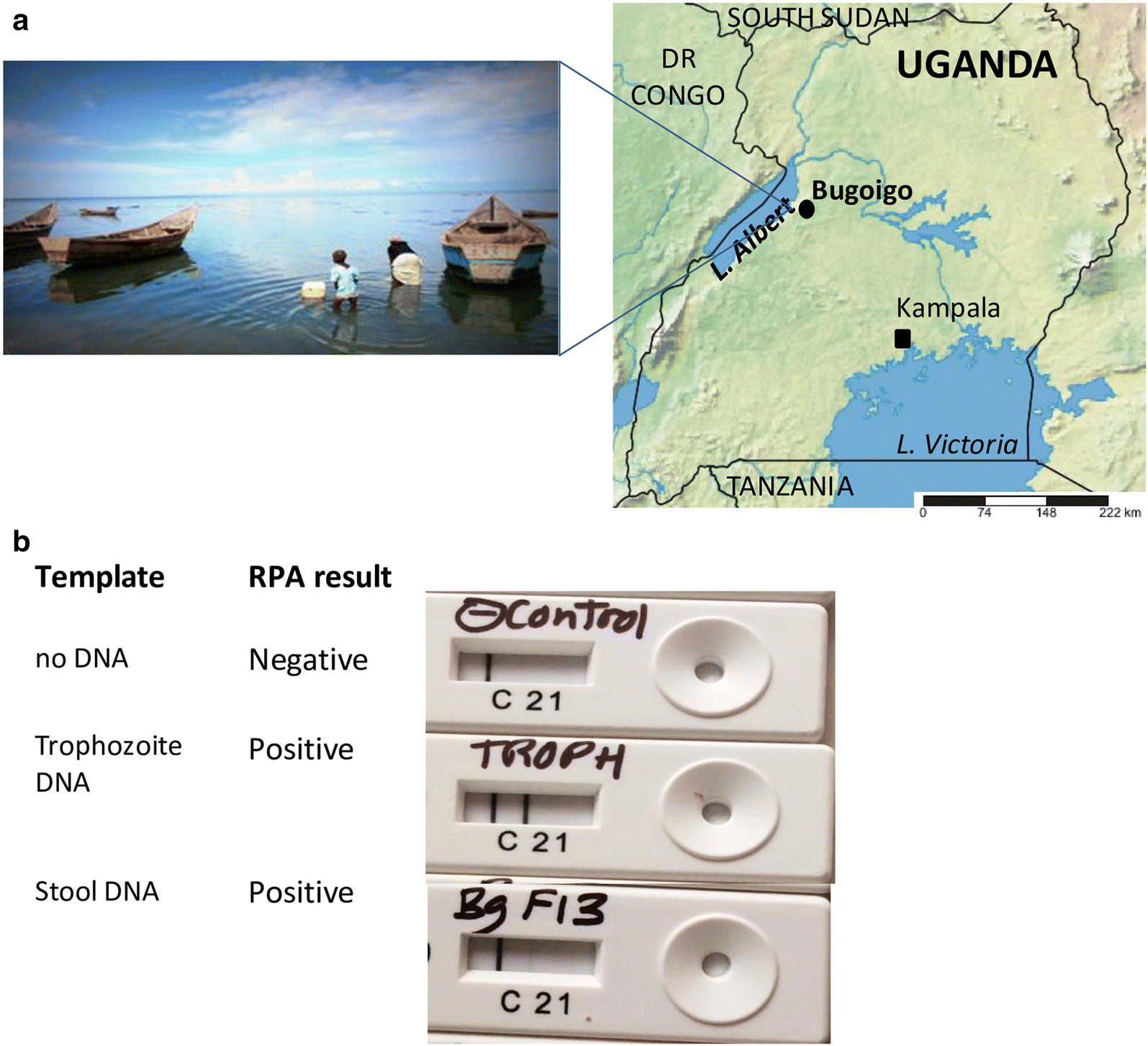 Fig. 2