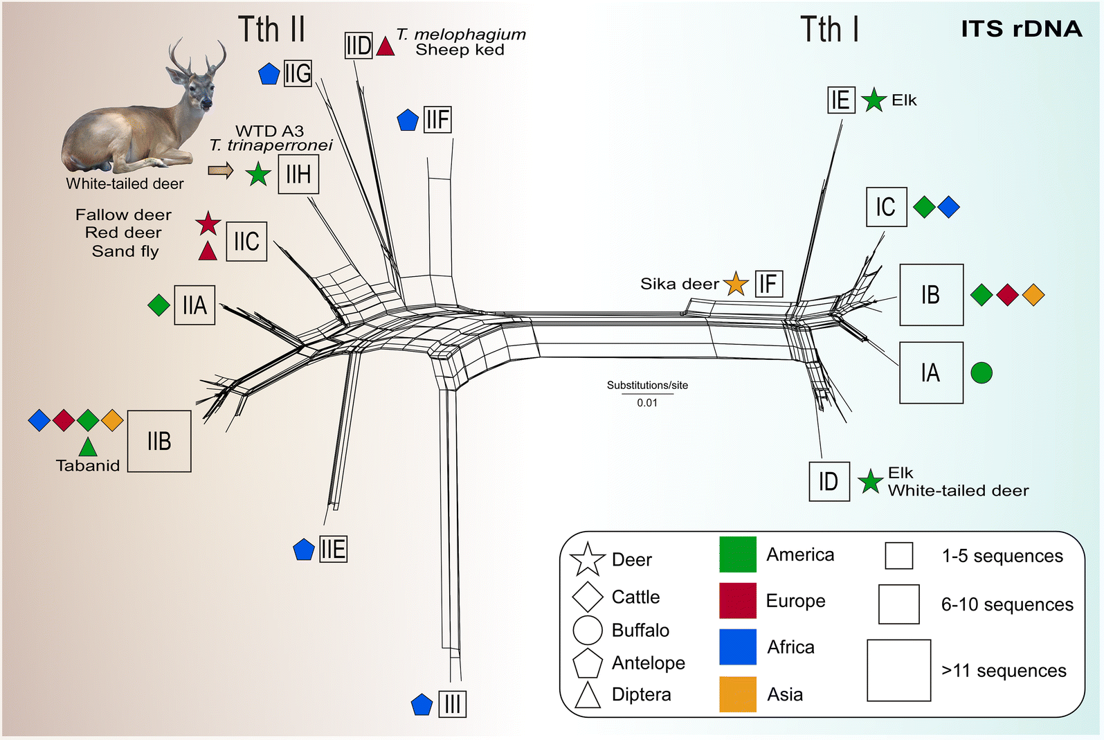 Fig. 6