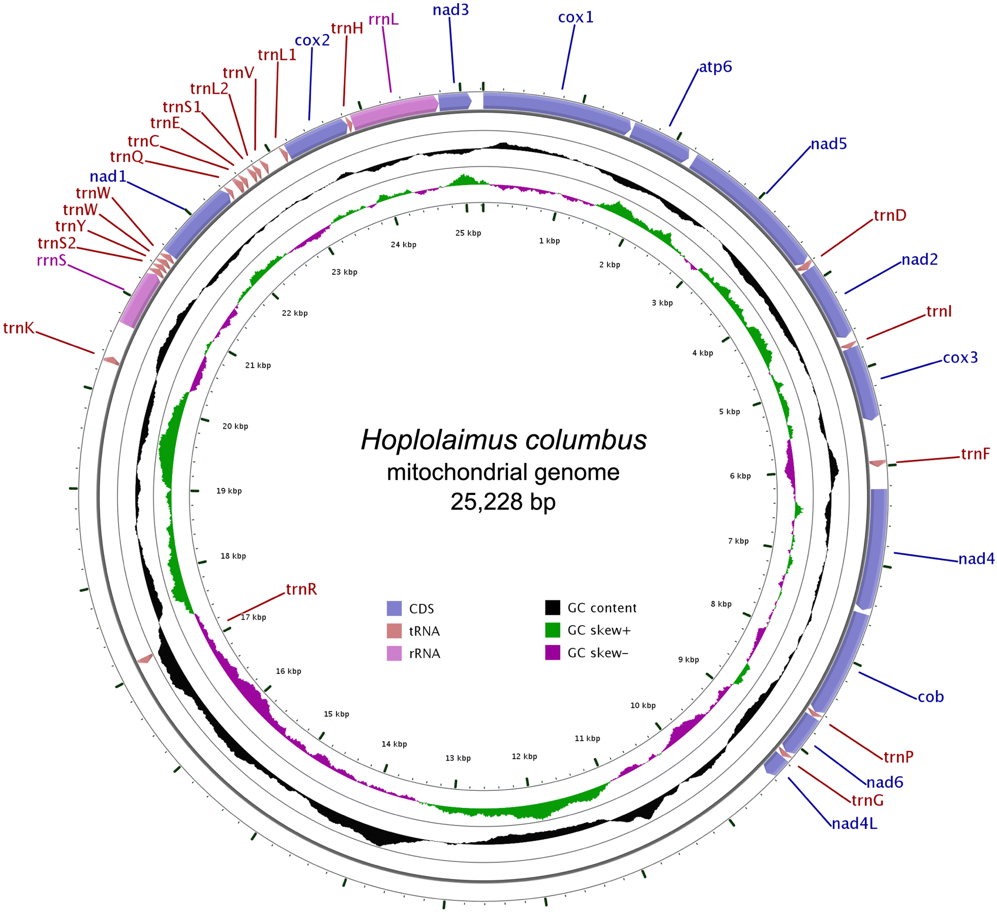 Fig. 1